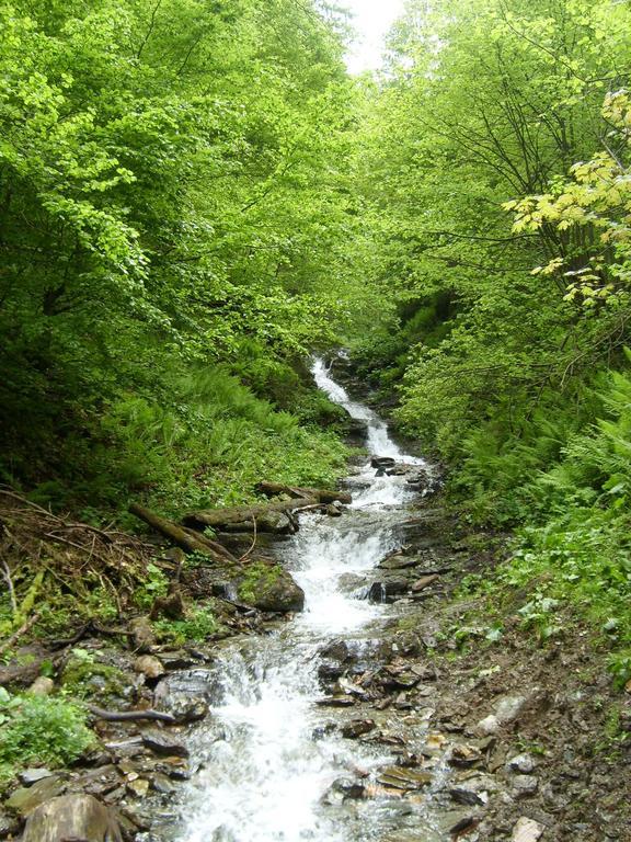 Отель Perla Padurii Valea Mare  Экстерьер фото