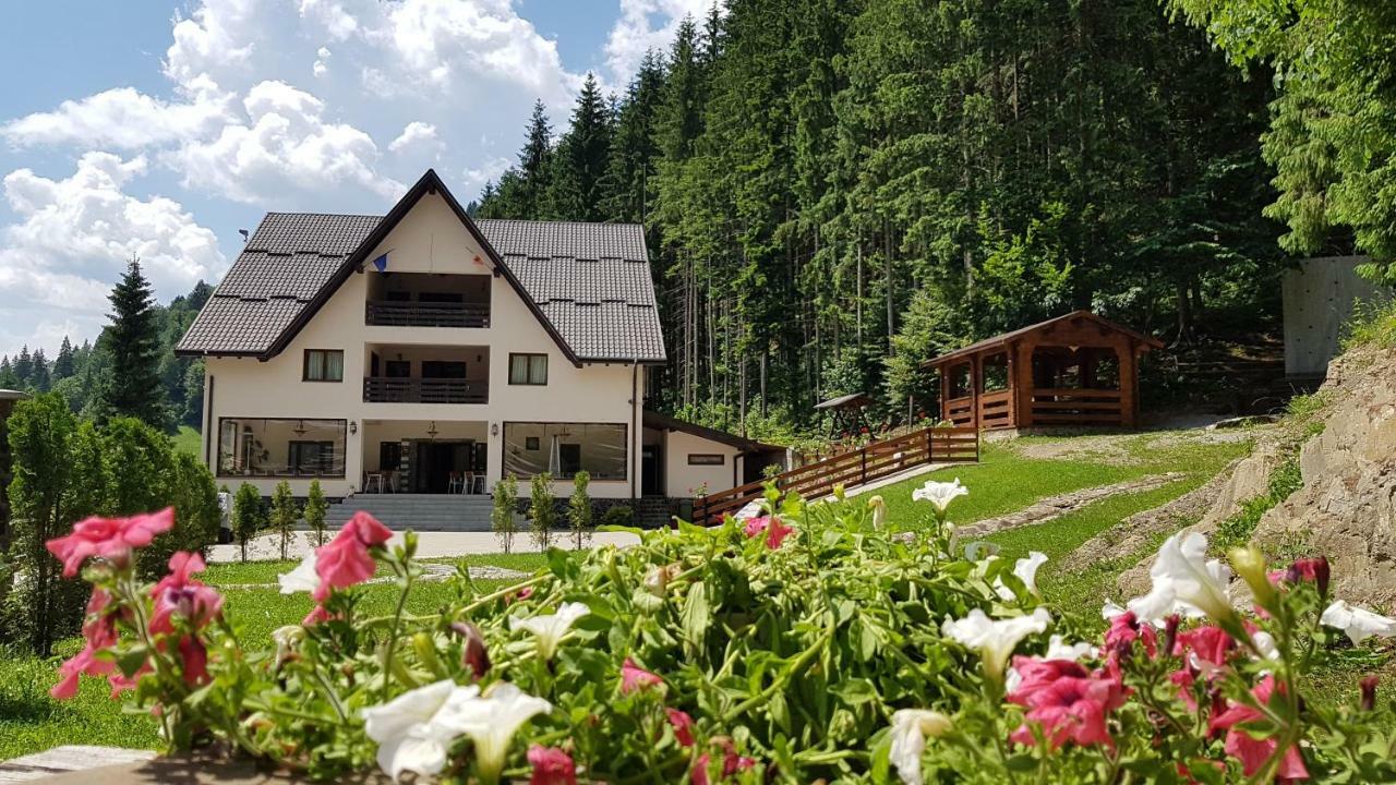 Отель Perla Padurii Valea Mare  Экстерьер фото